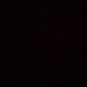 Meet your Posher, Rossy